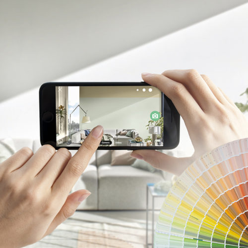 Frische Farben an die Wände! – Holen Sie sich den Sommer ins Haus!